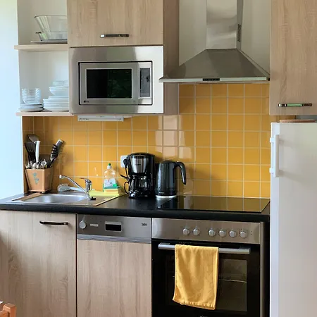 Appart hôtel Der Ulmenhof Gosau