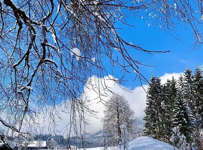 Der Ulmenhof Aparthotel